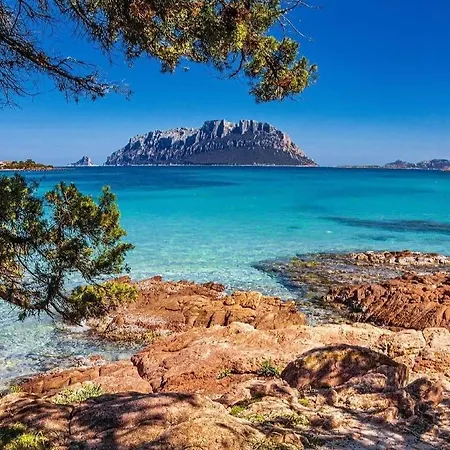 Claude&kate's Dream House Σπίτι διακοπών Porto San Paolo (Sardinia)