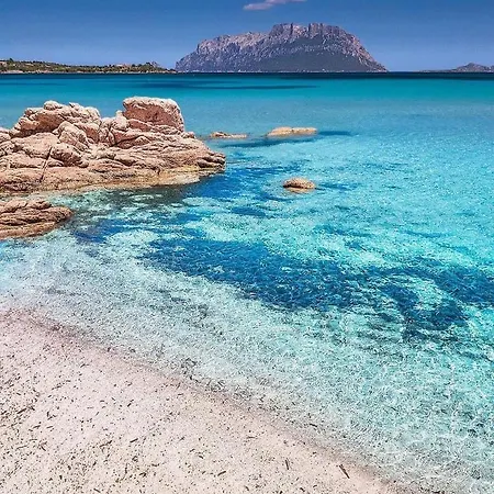 Claude&Kate'S Dream House Holiday home Porto San Paolo (Sardinia)