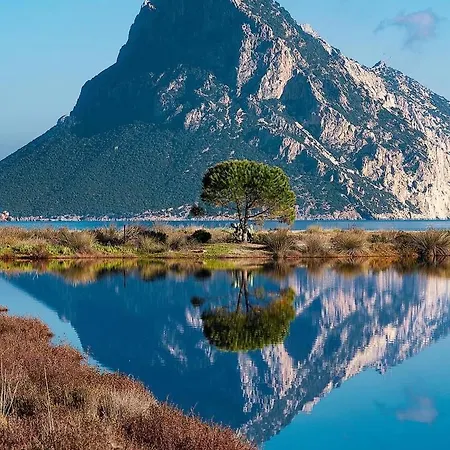 Claude&Kate'S Dream House Porto San Paolo (Sardinia)